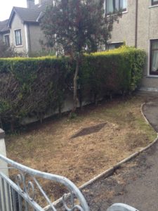 Garden Service After - Aqua Cleaning Sligo