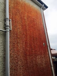 Red Algae Removal Before - Aqua Cleaning Sligo